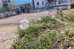 Bán 31 lô đất giải phóng phân lô 2 thoáng ô tô hoàng mai