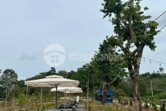 Bán đất đang kinh doanh buôn bán ấp bàu chim, xã phú xuân, tân phú đồng nai