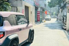 Có 102 nhà đẹp hoa lâm long biên, ô tô vào, lô góc, gần phố, giá hời chỉ 8.x tỷ