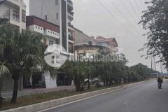 Bán đất thương mại dịch vụ mặt đường đôi thanh bình, tp hd, 905m2, lô góc, kd sầm uất
