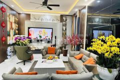 Căn villa siêu đẹp hẻm nguyễn an ninh 13 x 25m 9.8 tỷ