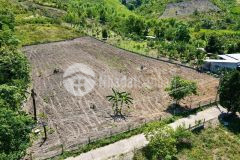 Bán đất diên tân gần hương lộ 62 rộng rãi thích hợp xây nhà vườn
