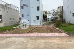 Đất bãi biển quất lâm giao phong