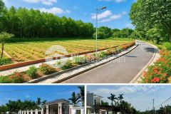 Đất đẹp giá rẻ gần đà nẵng chỉ 420 triệulô