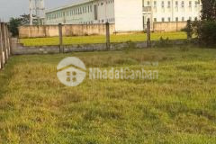 Chia buồn cùng anh chủ đất vì gia đình kẹt tiền nên bán lại lô đất sát bên vinhomes hậu nghĩa