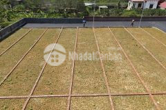 Nhanh tay sở hữu ngay đất nền f0 sát kcn phú thành, lạc thủy, hòa bình giá chỉ từ 5xxtr lô