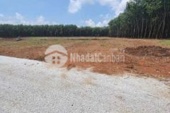 Cần bán đất mặt tiền ql13 bàu bàng, bình dương đầu tư sinh lời cao