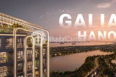 Galia căn hộ cao cấp full nội thất phía nam hà nội, giá chỉ từ 67trm2