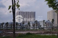 Kim chung, di trạch, hoài đức, mặt tỉnh lộ 422, 2 thoáng sổ phân lô, kinh doanh đa ngành