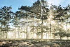 Bán lô đất vip 6296m2 trên cung đường du lịch mimosa phường 10, đà lạt, có suối, view đẹp.