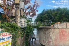 Bán đất 1 sẹc đinh bộ lĩnh xã tân phước thị xã lagi phủ hồng toàn bộ lên thổ cư được ngay