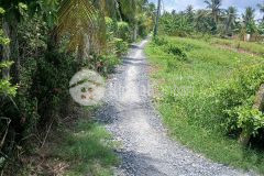 Chủ gửi bá.n đất nhà 1.987m² ấp an thiện, xã an cư, huyện cái bè, tỉnh tiền giang