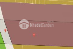 Bán đất giáo dục quận bình tân tp.hcm.dt5800m2.giá 170 tỷ