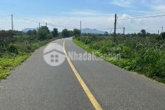 Đất ngợp đường chạy thắng ra biển đường lê quang định xã tân bình thị xã lagi