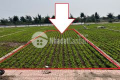 Cần bán 90m2 sát bãi tắm giao phong chỉ từ 20trm2