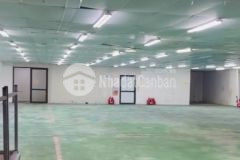 Cho thuê nhà xưởng tại huyện kim động. tỉnh hưng yên