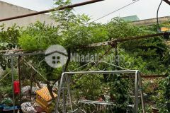 Bán đất hxh đường lê cơ, an lạc, bình tân