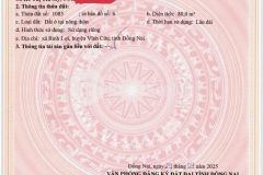 Đất nền thổ cư, sổ hồng riêng, đường long chiến, bình lợi, vĩnh cửu