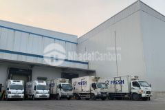 Cho thuê kho lạnh 300 tấn vị trí đắc địa ngay trung tâm đà nẵng giá chỉ 40 triệutháng