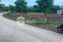 Nhanh tay sở hữu đất đẹp giá rẻ chỉ 4,5trm² đường tây bắc, ba hàng đồi, lạc thủy, hòa bình