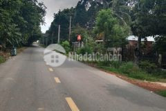 Bán đất ngộp 184m2 chỉ cần 250tr là có thể sở hữu ngay