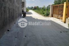 120m2 thổ cư 2mt hẻm xã mỹ hạnh nam, đức hòa giá 1,5 tỷ