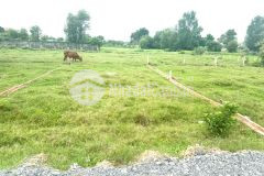 Bán lỗ gắp đất thổ cư 136m2 8x17m 520tr shr lê thị vui,phước hiệp,củ chi