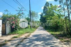 Cho thuê hoặc bán 10 công đất nghỉ dưỡng lộ ôtô view sông có mô hình vườn, ao cá thuộc bình minh