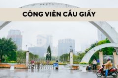 Siêu phẩm 5 tầng trung tâm cầu giấy gần hồ mát rượi vài bước ra ô tô 65m2 16 tỷ