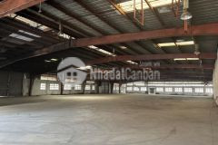 Siêu hot nhà xưởng mới xây tại hoà châu, diện tích khủng 1800m² giá chỉ 40km²