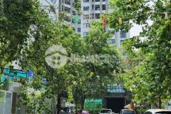 Bán biệt thự kđt văn phú, hà đông, 240m2 x mặt tiền 12m, giá đầu tư chỉ 150trm2