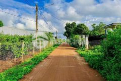 Cần bán đất biển hồ pleiku 395 triệu