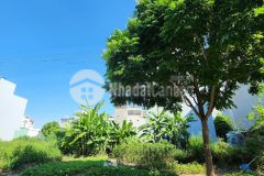 Ngũ hiệp cần bán 45m2 đất đấu giá đường nhựa 8m ô tô tránh vỉa hè