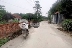 12m mặt đường bê tông tân thành, cẩm lĩnh, ba vì