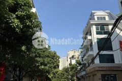 Bán nhà phân lô liền kề mỗ lao 61m 5 tầng trung tâm hà đông