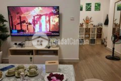 Cho thuê căn hộ westbay kđt ecopark văn giang, 46m2, full nội thất, 6trtháng