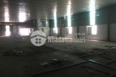 Cho thuê kho, xưởng tại nguyễn văn cừ. long biên. hn