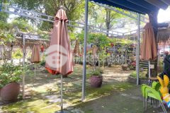 Bán đất 407m2 đang cho thuê làm cafe sân vườn 6trtháng ở gò dầu tây ninh giá 680 triệu.