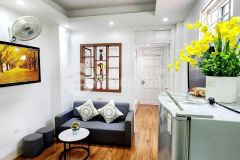 Bán chung cư vương thừa vũ, thanh xuân, nhà đẹp ở luôn, gần ô tô