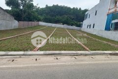 Siêu phẩm đất ở đô thị 300m² mở cửa ra là có tiền chỉ hơn 2 tỷ mặt đường quốc lộ 21 vị trí