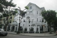 Chỉ 100 triệum2 biệt thự lô góc kđt tân tây đô gần vinhomes đan phượng 280m2. 0989626116