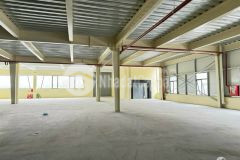 Cho thuê kho, nhà xưởng 5000m² tại hoà phước giá chỉ 230 triệutháng