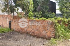 Bán gấp 60m2 đất trồng cây lâu năm lê văn khương, đông thạnh hóc môn