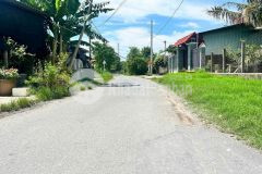 3 lô đất thổ xã phước thạnh, củ chi dt 99m2 giá 1,5 tỷ lô