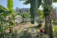 Bán đất giá rẻ bà điểm hóc môn đường nhựa 8m 300m2 thổ cư ngang 10m chỉ 8.9 tỷ