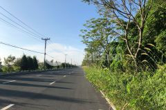 Đât nen khu định cư giồng ao cần thạnh,cần giờ, vị trí đẹp, giá tốt, pháp lý rõ ràng, 5t còn tl.