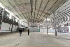 Cho thuê khonhà xưởng 920m² tại cẩm lệ đường container giá chỉ 46 triệutháng