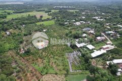 Sở hữu 1,5ha đất vườn riêng tư tại định quán có nhà, ao, vườn cây ăn trái, giá siêu tốt