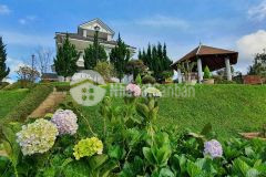 Bán villa view đỉnh rừng thông hoàng hoa thám, p. 10, đà lạt