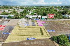 Bán đất thổ lúa 1250m2 trong đó 150m2 thổ cư giá 1ty250tr